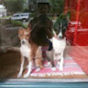 Meet your Posher, Stacey